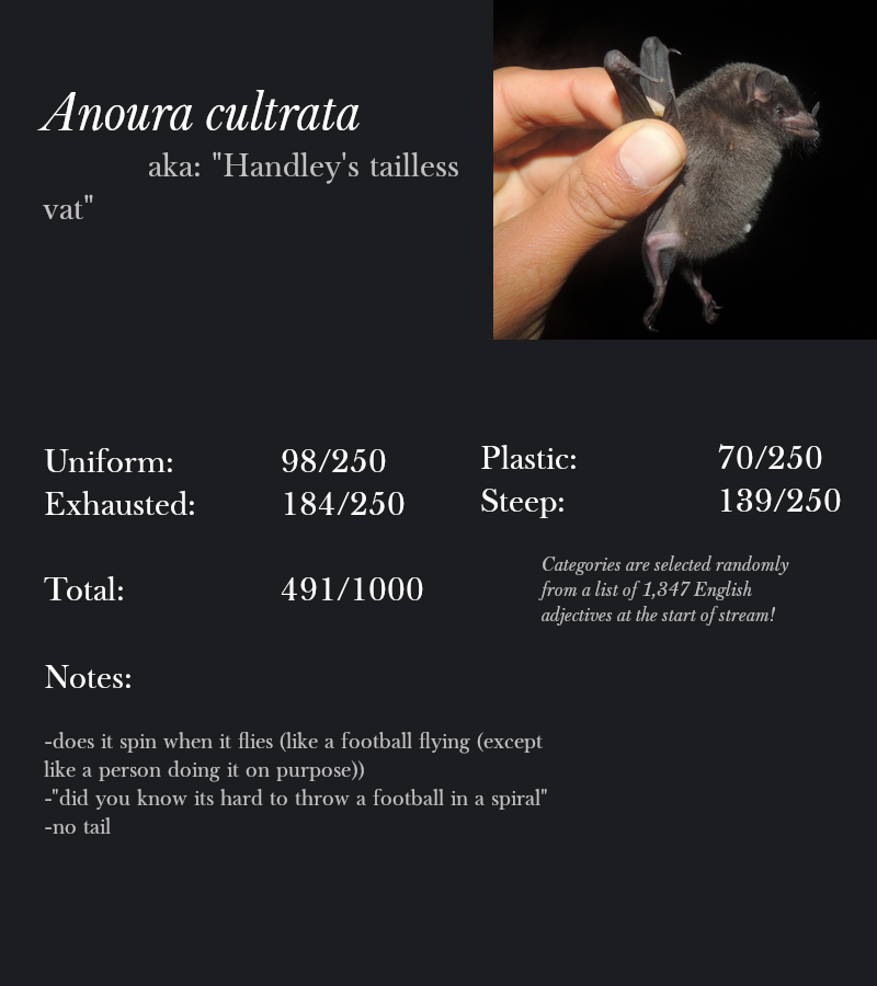 Anoura cultrata